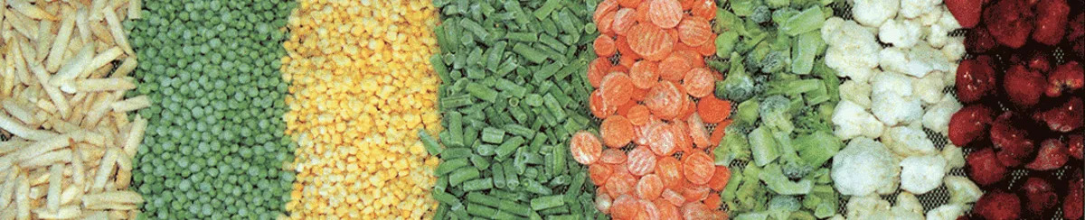 Vegetable Industry Frozen Food with Various types shown