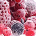 freezer-spiral-tunnel-frozen-fruit