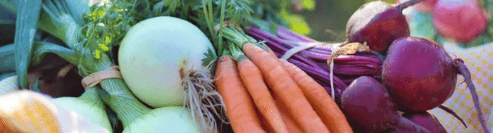 vegetables-header